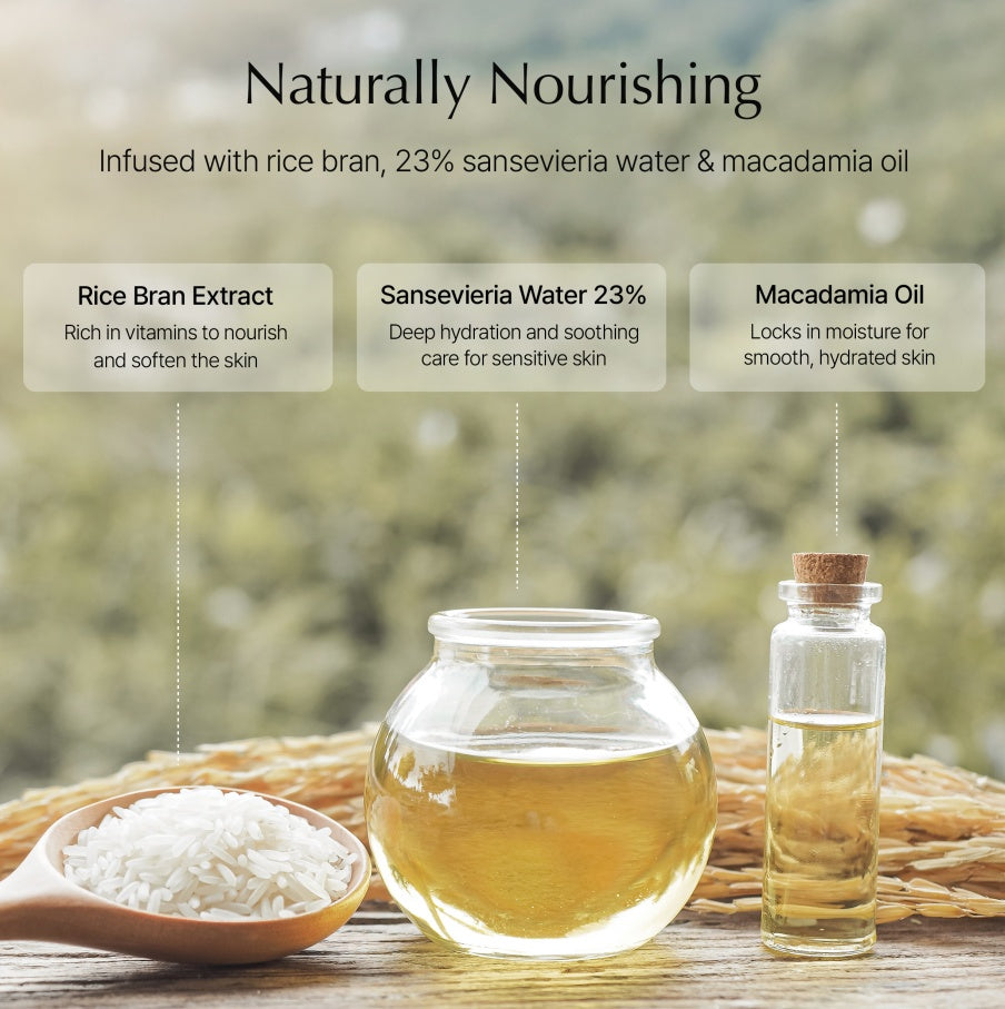 SANSEVIERIA PURE CLEANSER