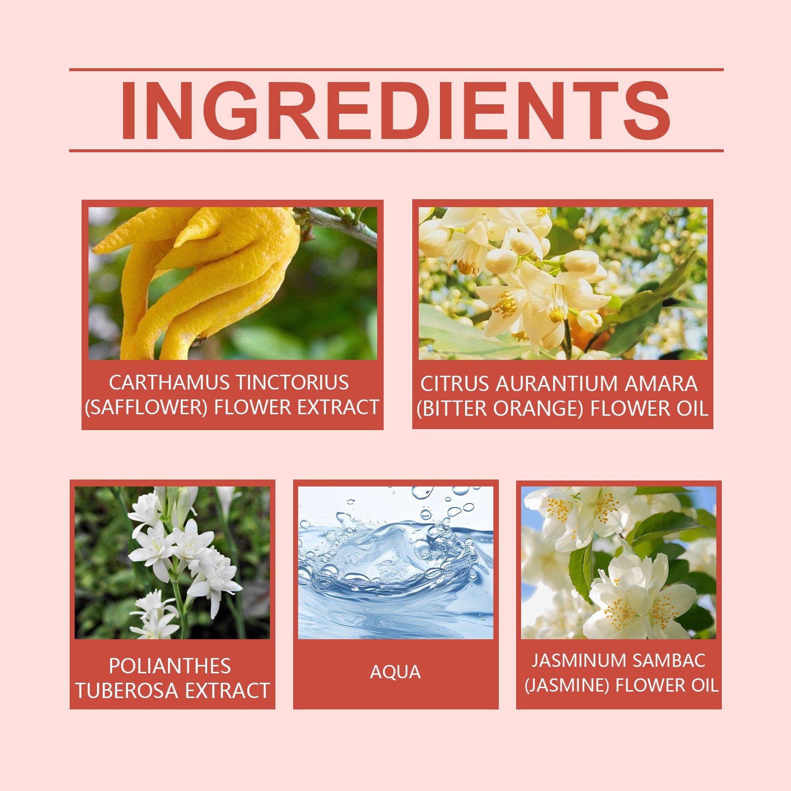 Elegant Female Perfume